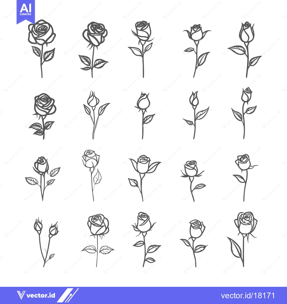 Premium Vector dari A Set of 20 Black and White Hand Drawn Rose Illustrations