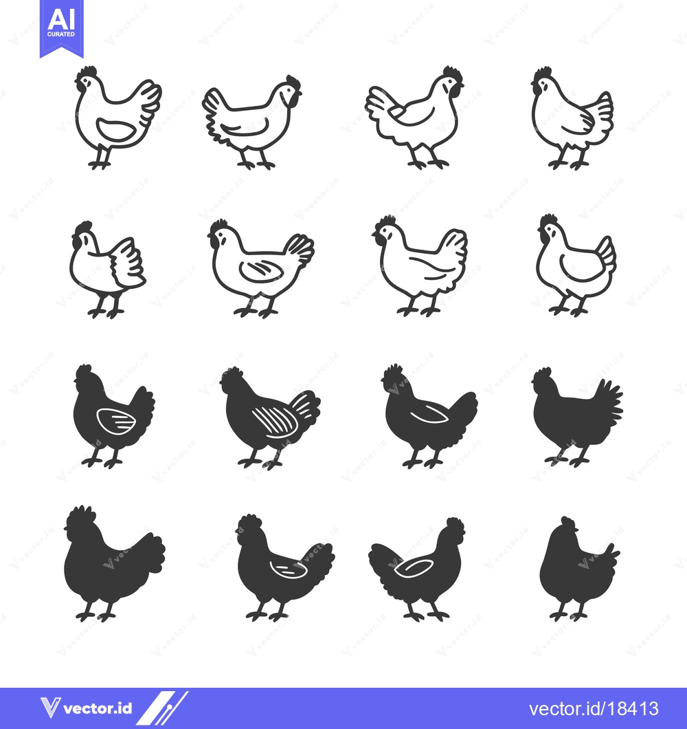Premium Vector of A Set of Chicken Illustrations, Including Line Art and Silhouettes