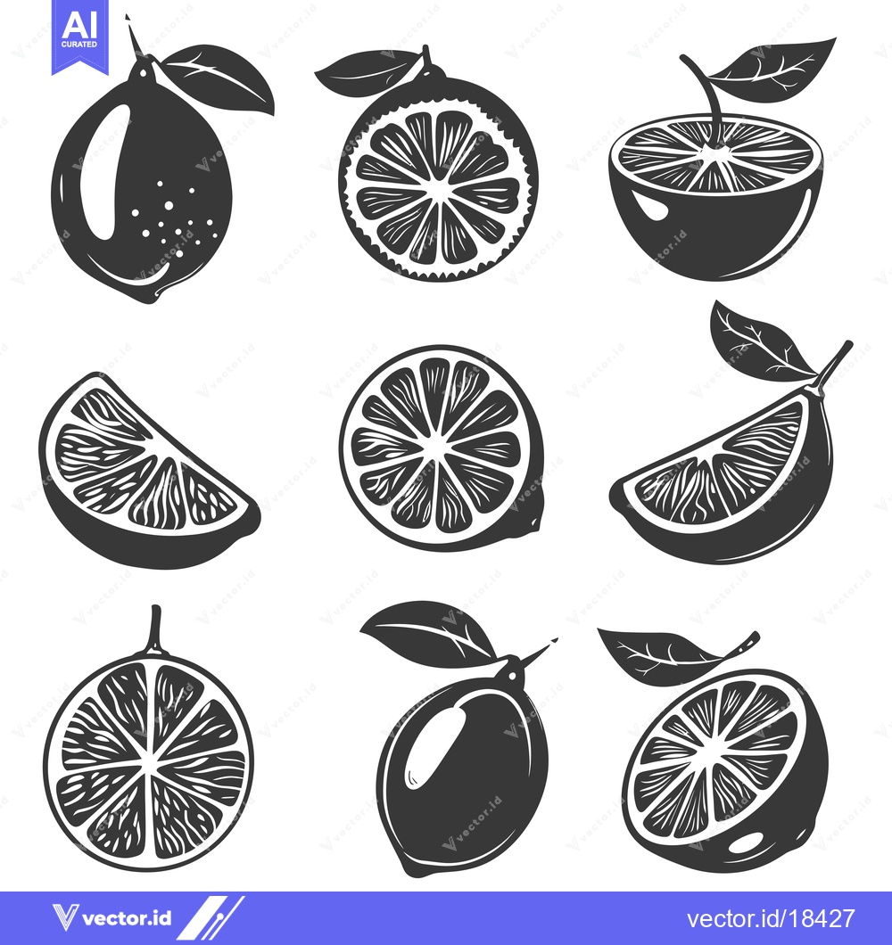 Premium Vector of A Set of Detailed Black and White Illustrations of Lemons and Limes