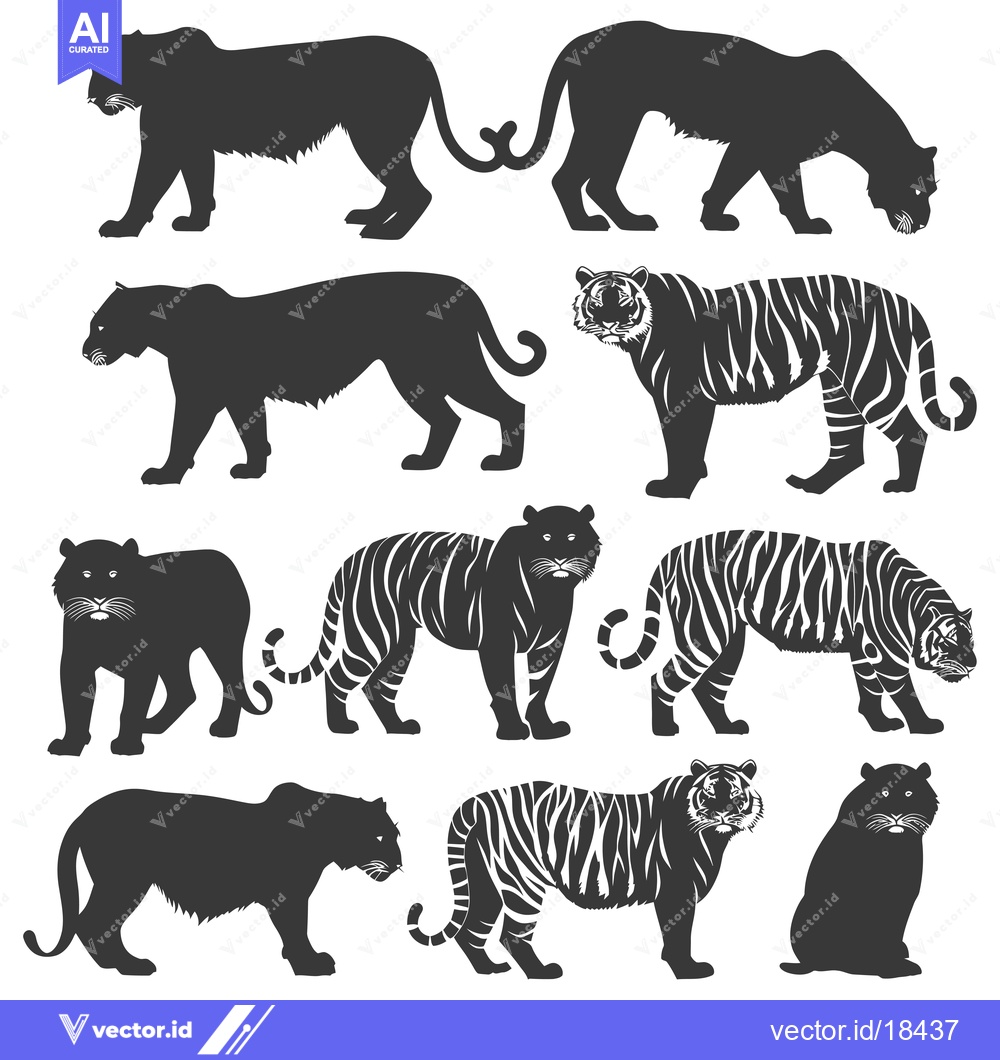 Premium Vector dari A Set of Eight Black and White Tiger Silhouettes