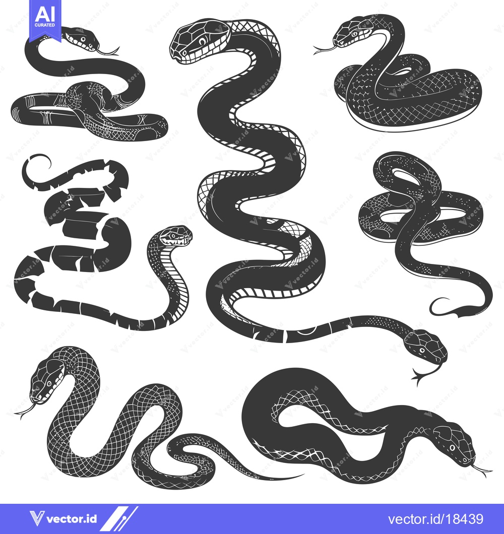 Premium Vector dari A Set of Eight Detailed Black and White Snake Silhouettes