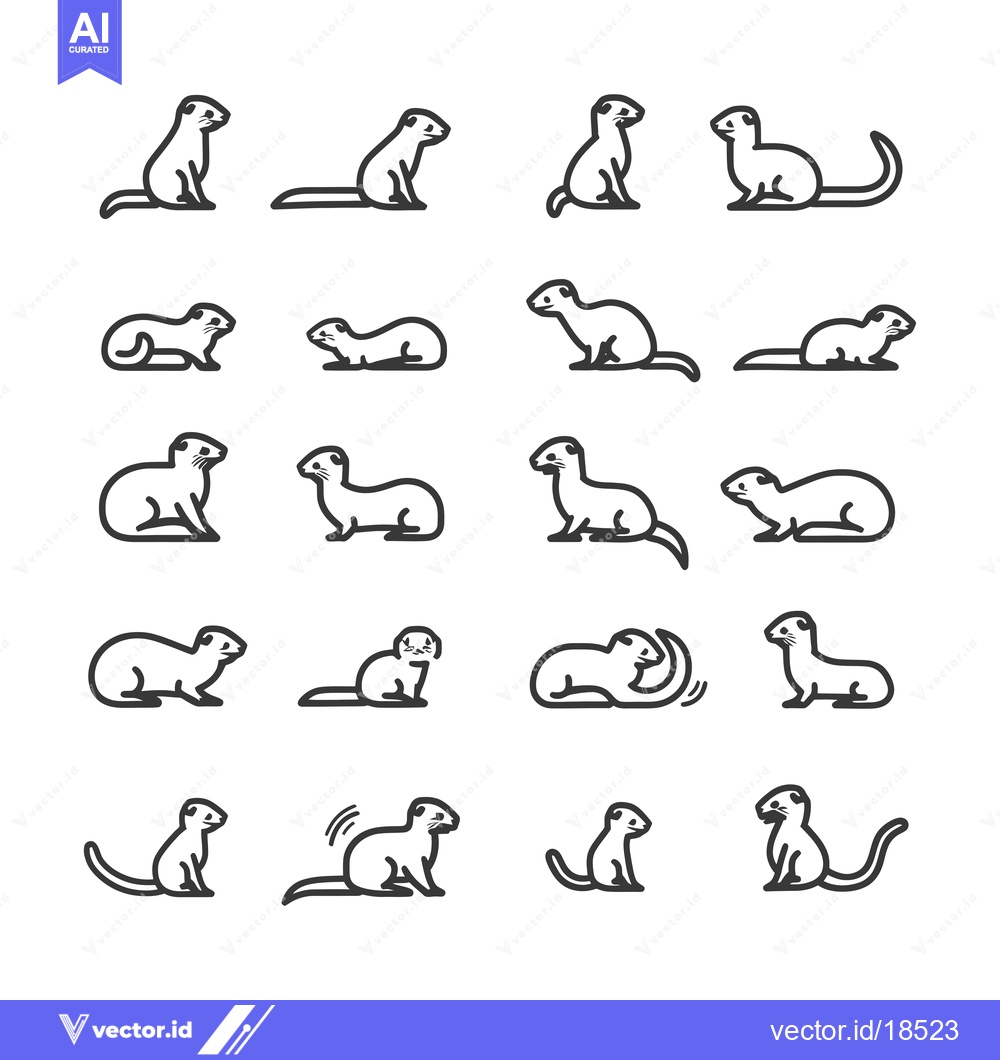 Premium Vector dari A Set of Line Drawings Depicting a Meerkat in Various Poses