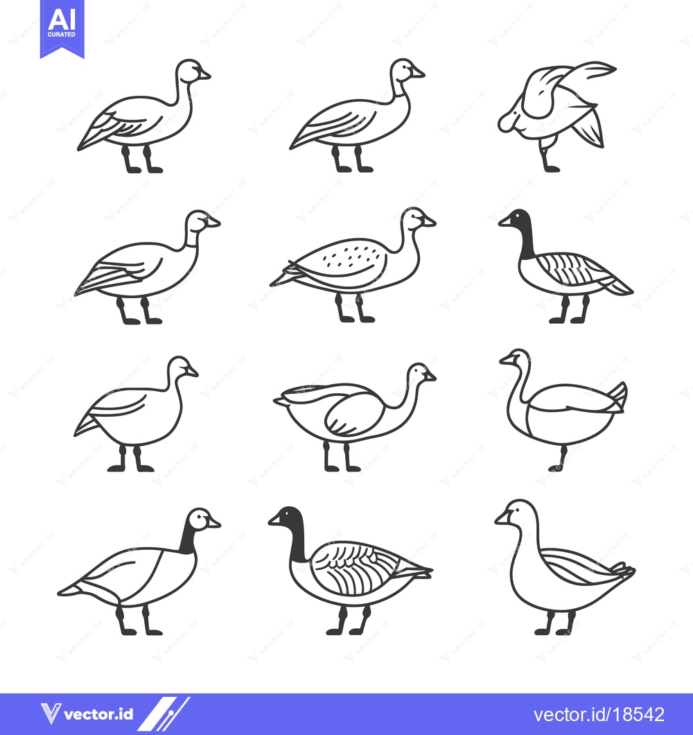 Premium Vector of A Set of Line Drawings Depicting Various Goose Species
