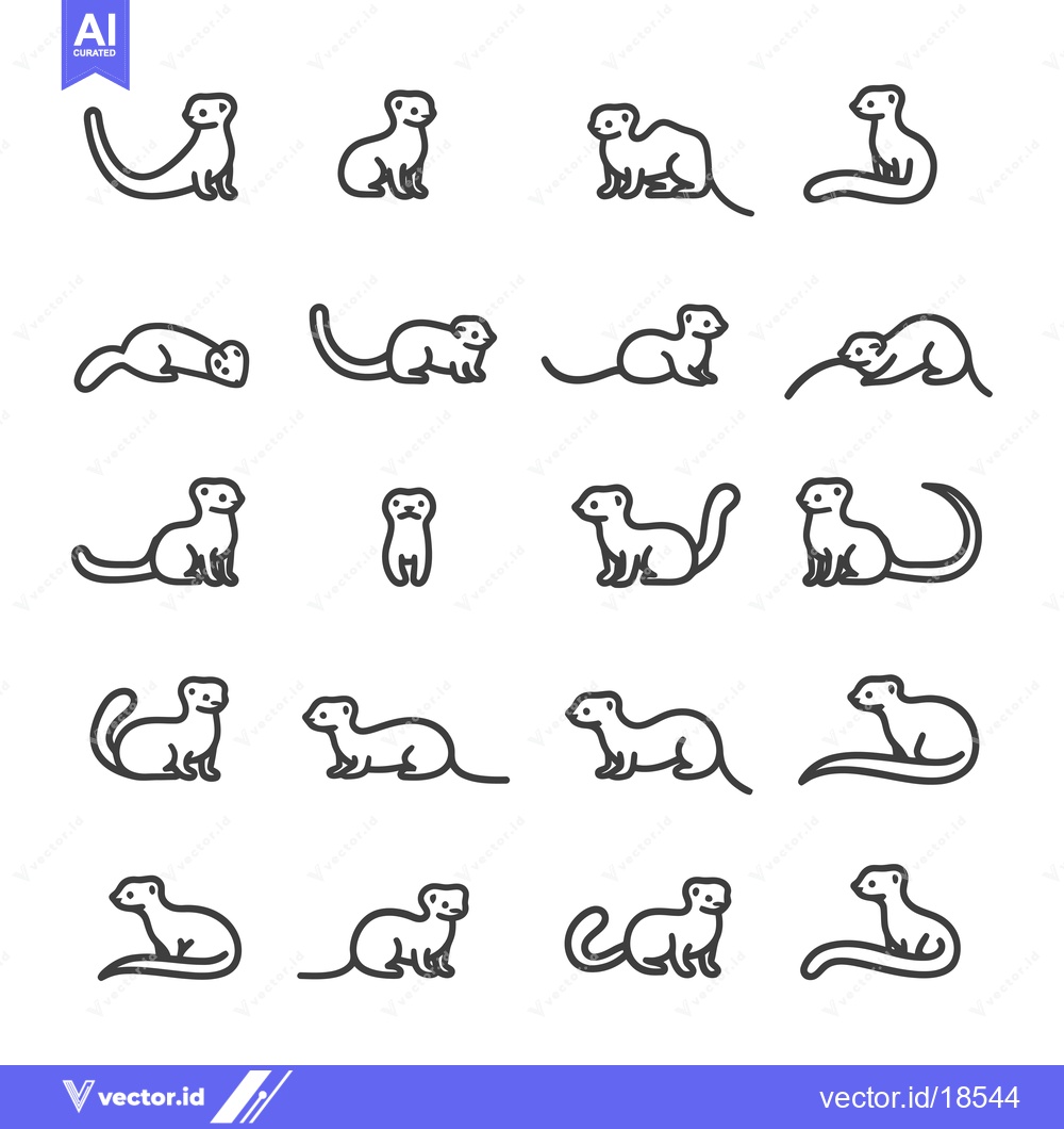 Premium Vector dari A Set of Line Drawings Depicting Various Poses of a Weasel