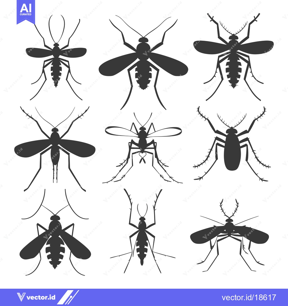 Premium Vector dari A Set of Nine Black Silhouette Mosquito Illustrations