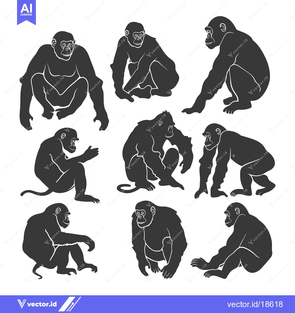 Premium Vector dari A Set of Nine Black Silhouettes of Chimpanzees in Various Poses