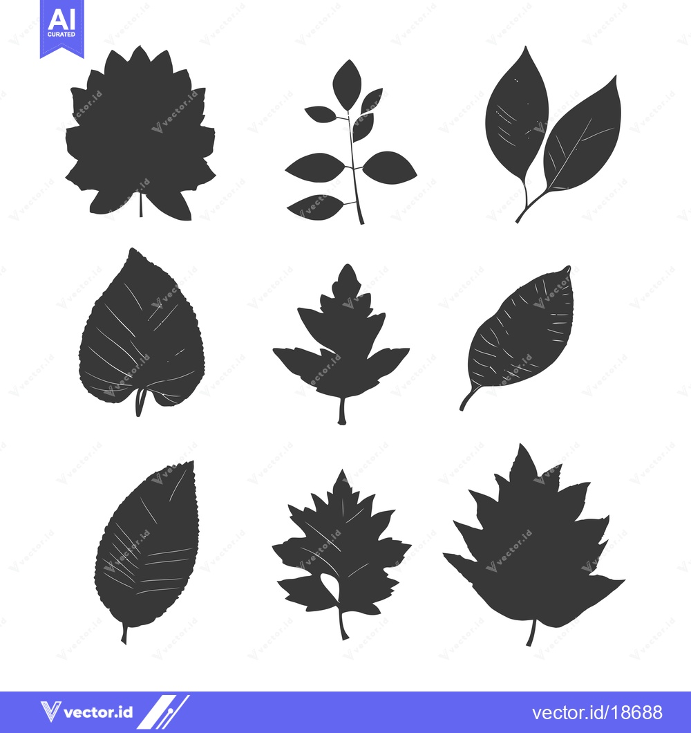 Premium Vector dari A Set of Nine Silhouette Leaf Designs