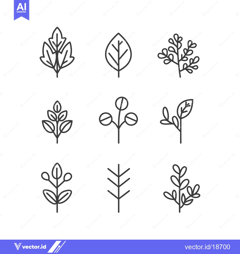 Premium Vector dari A Set of Nine Simple Line Drawings of Plants and Leaves