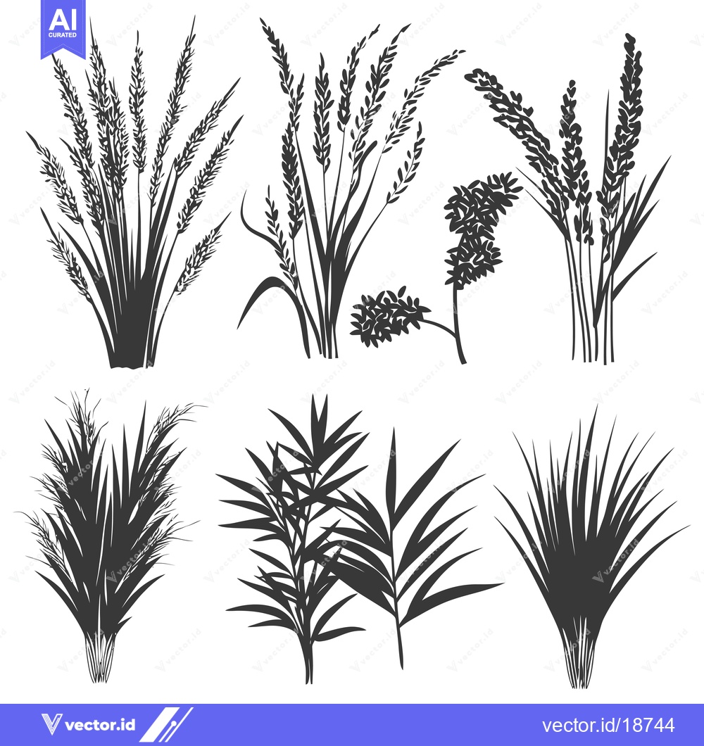 Premium Vector dari A Set of Six Black and White Silhouettes of Different Types of Grass