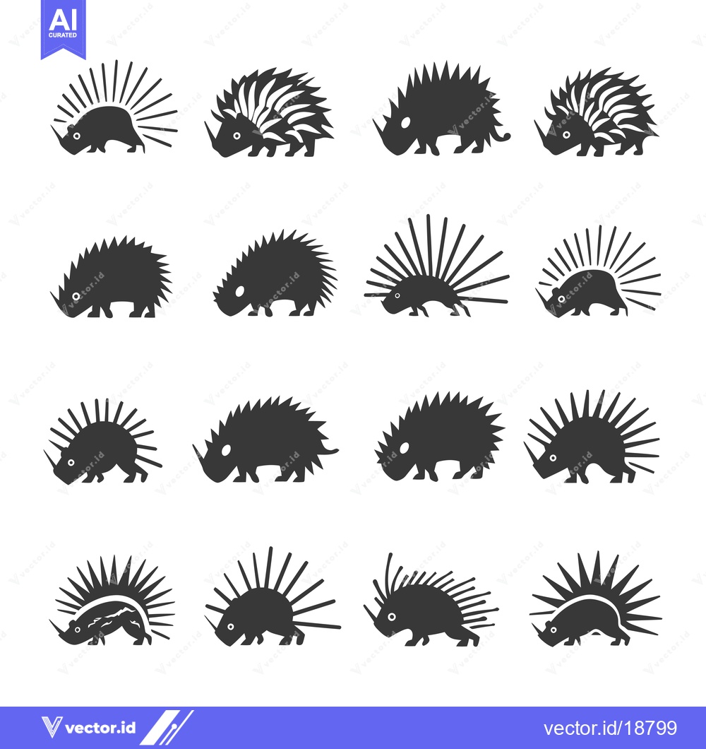 Premium Vector of A Set of Sixteen Black and White Silhouette Images of Porcupines