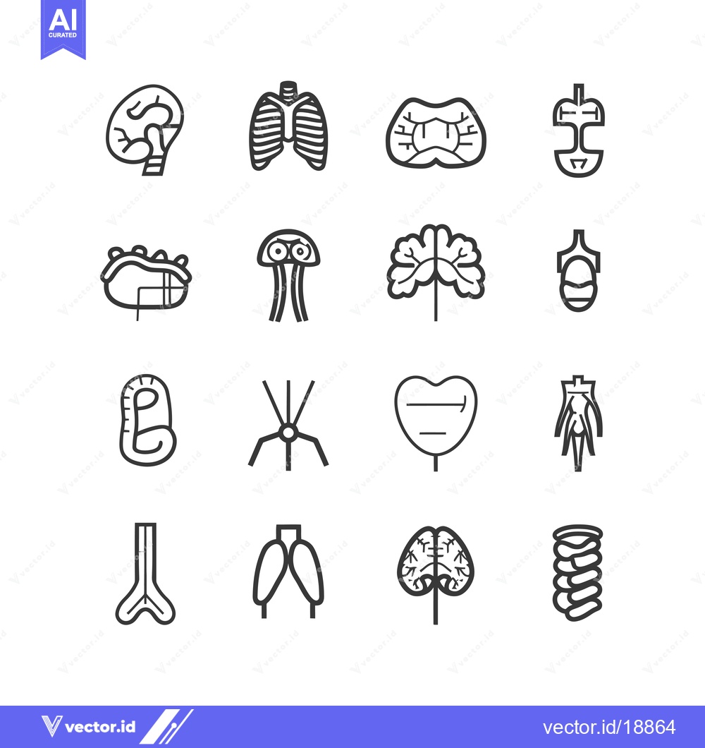 Premium Vector dari A Set of Sixteen Outline Icons Depicting Human Organs