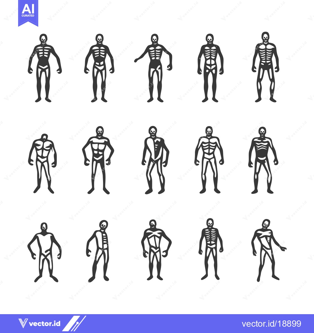 Premium Vector of A Set of Skeletal and Muscular Anatomical Figures