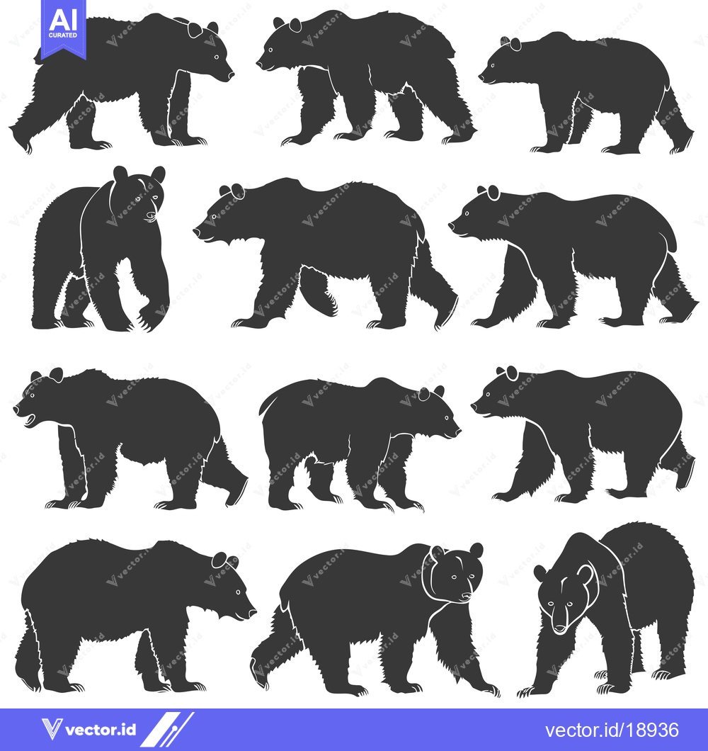 Premium Vector dari A Set of Twelve Black Bear Silhouettes in Various Poses