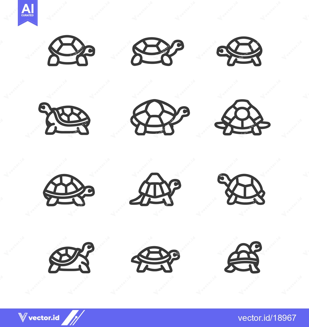 Premium Vector of A Set of Twelve Line Drawings of Turtles in Various Positions