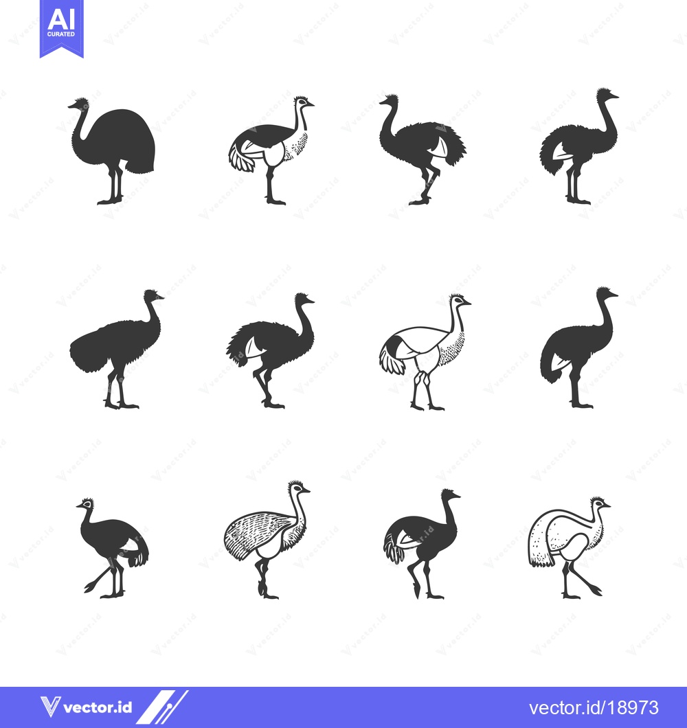 Premium Vector dari A Set of Twelve Ostrich Silhouettes in Different Poses