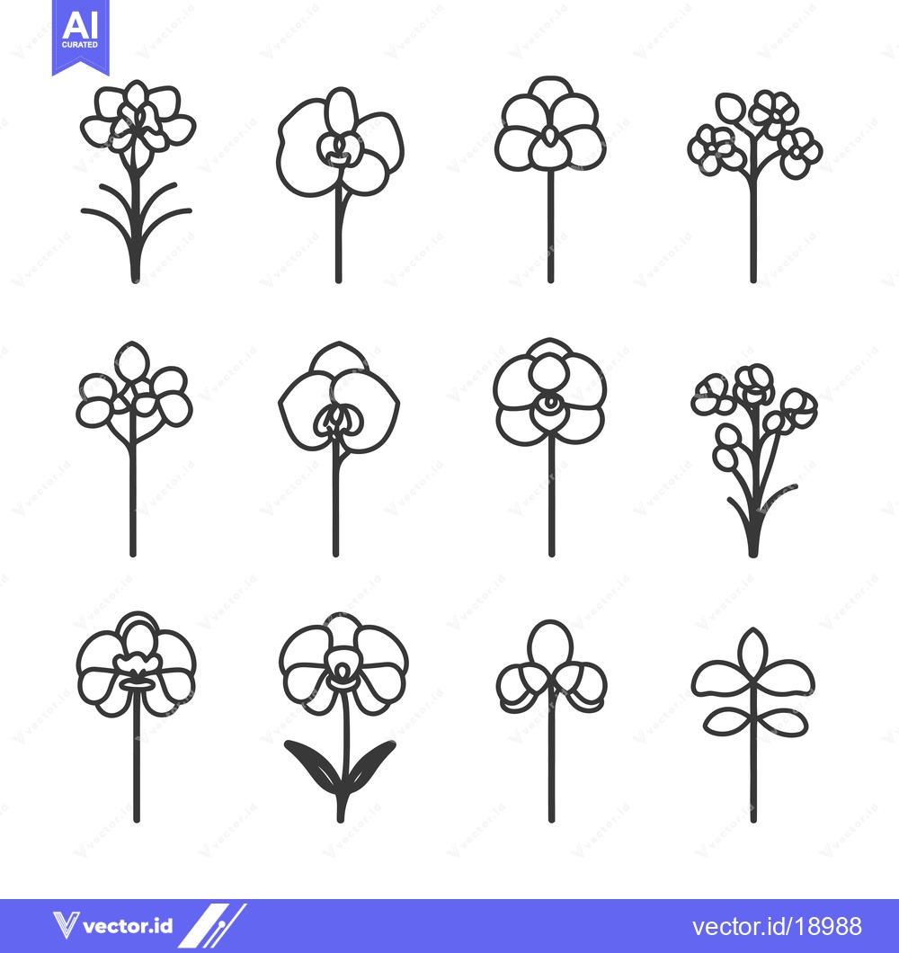 Premium Vector dari A Set of Twelve Simple Line Drawings of Orchids