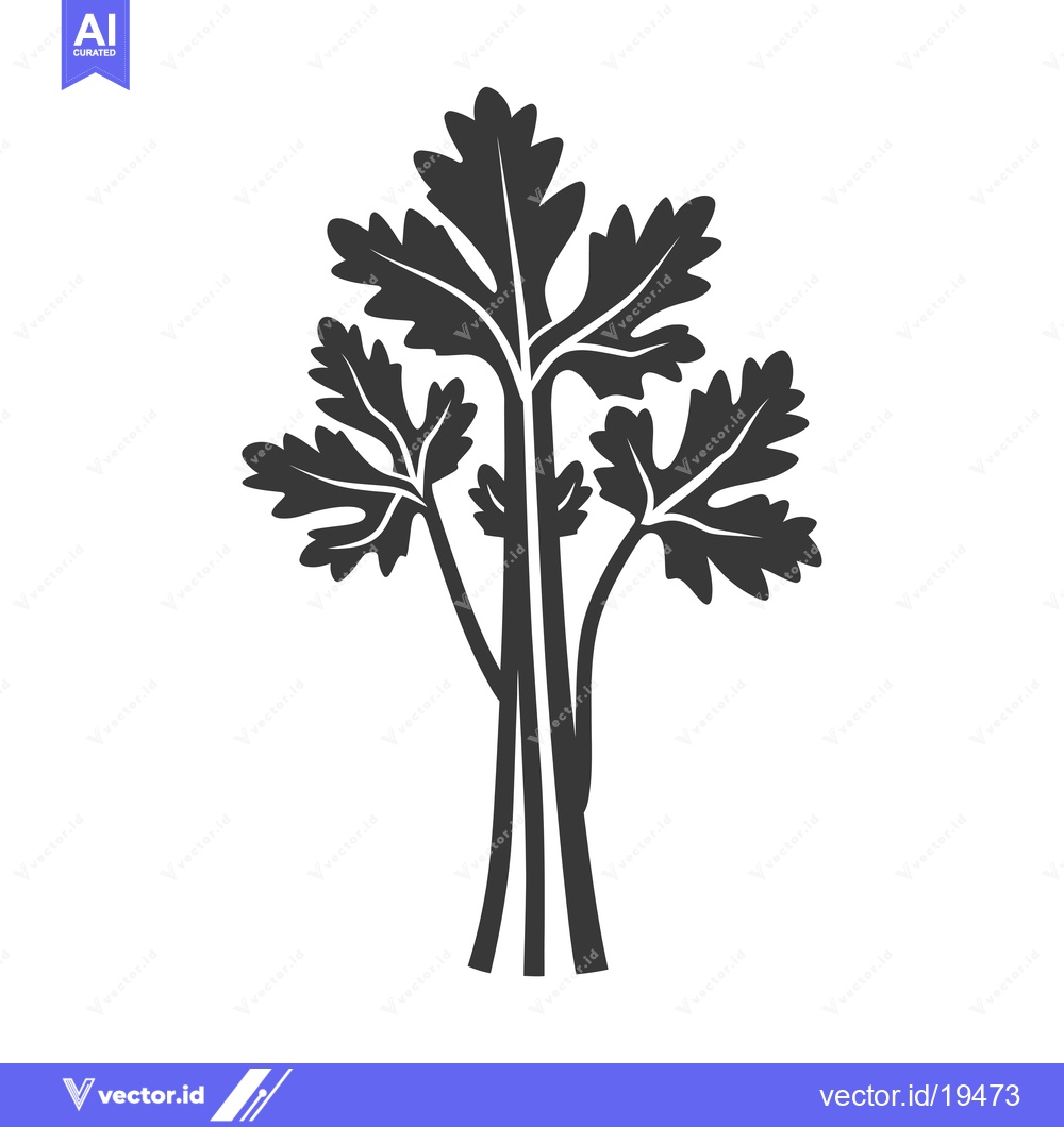 Premium Vector of A Simple Illustration of a Bunch of Parsley
