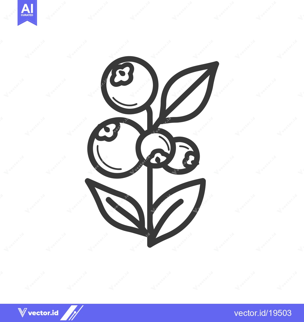 Premium Vector of A simple line drawing of a blueberry bush with three blueberries