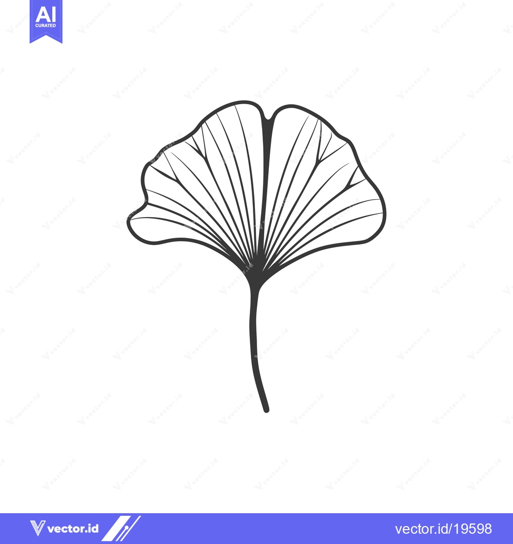 Premium Vector dari A Simple Line Drawing of a Ginkgo Biloba Leaf