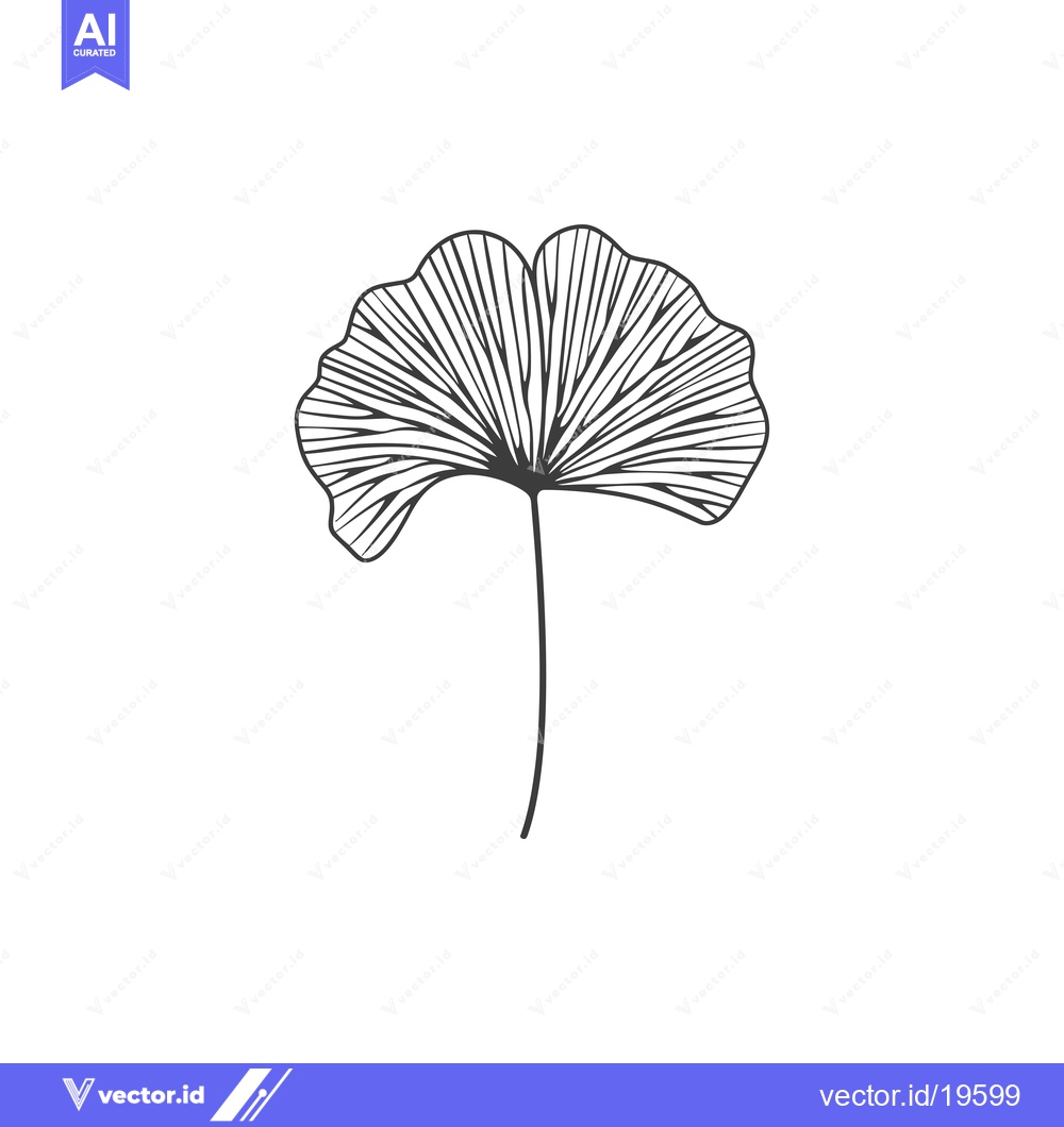 Premium Vector dari A Simple Line Drawing of a Ginkgo Leaf