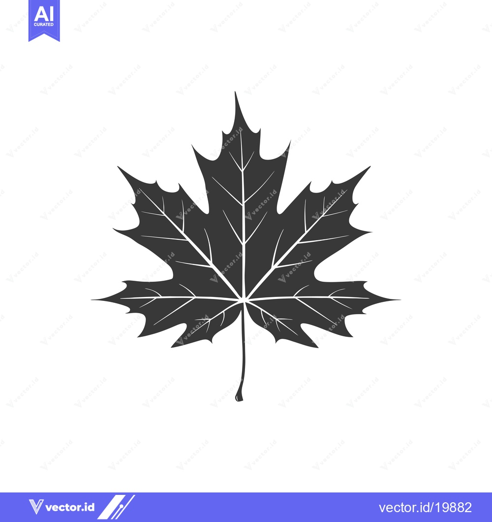 Premium Vector dari A Single Black Silhouette of a Detailed Maple Leaf