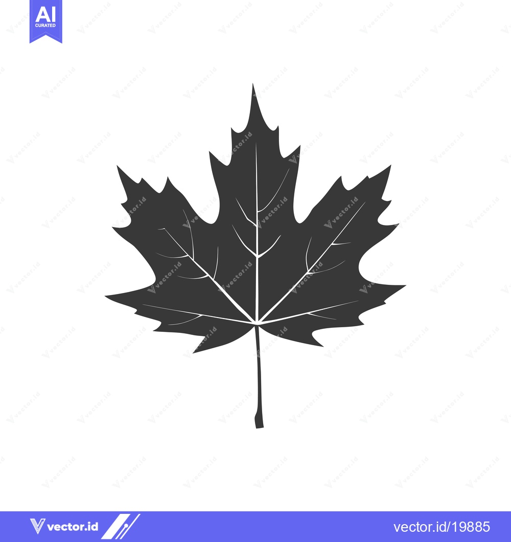 Premium Vector of A Single Black Silhouette of a Maple Leaf
