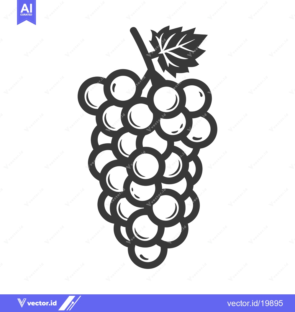 Premium Vector dari A Single Bunch of Grapes with a Leaf on a Vine