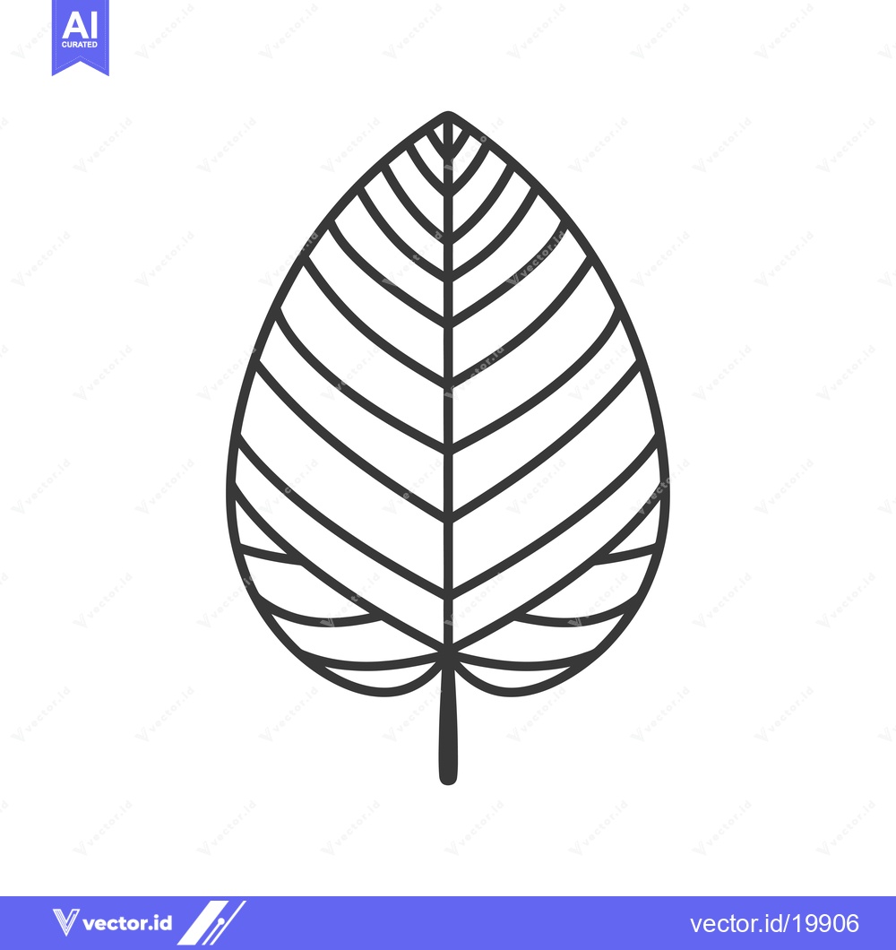 Premium Vector dari A Single, Detailed Outline of a Leaf with Veins