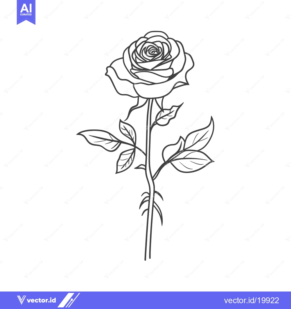 Premium Vector of A Single Rose with a Stem and Leaves in Outline
