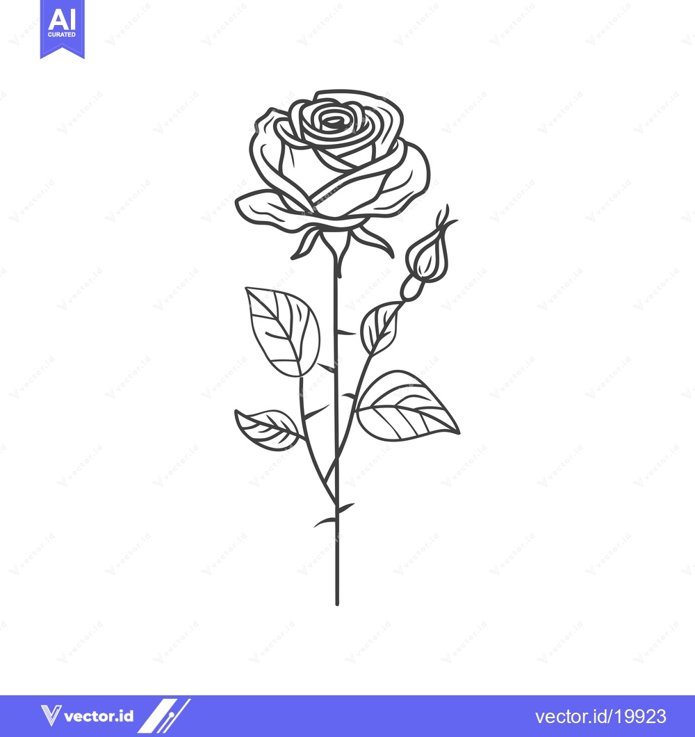 Premium Vector dari A Single Rose with Bud and Leaves in Line Art
