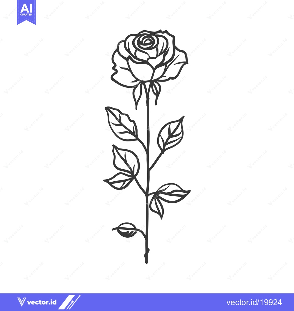 Premium Vector of A Single Rose with Stem and Leaves in Black and White