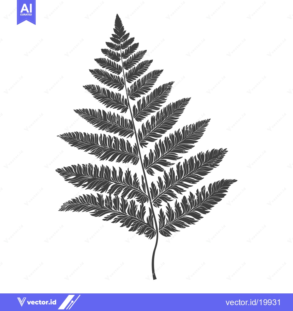 Premium Vector of A Single Silhouetted Fern Leaf on a White Background