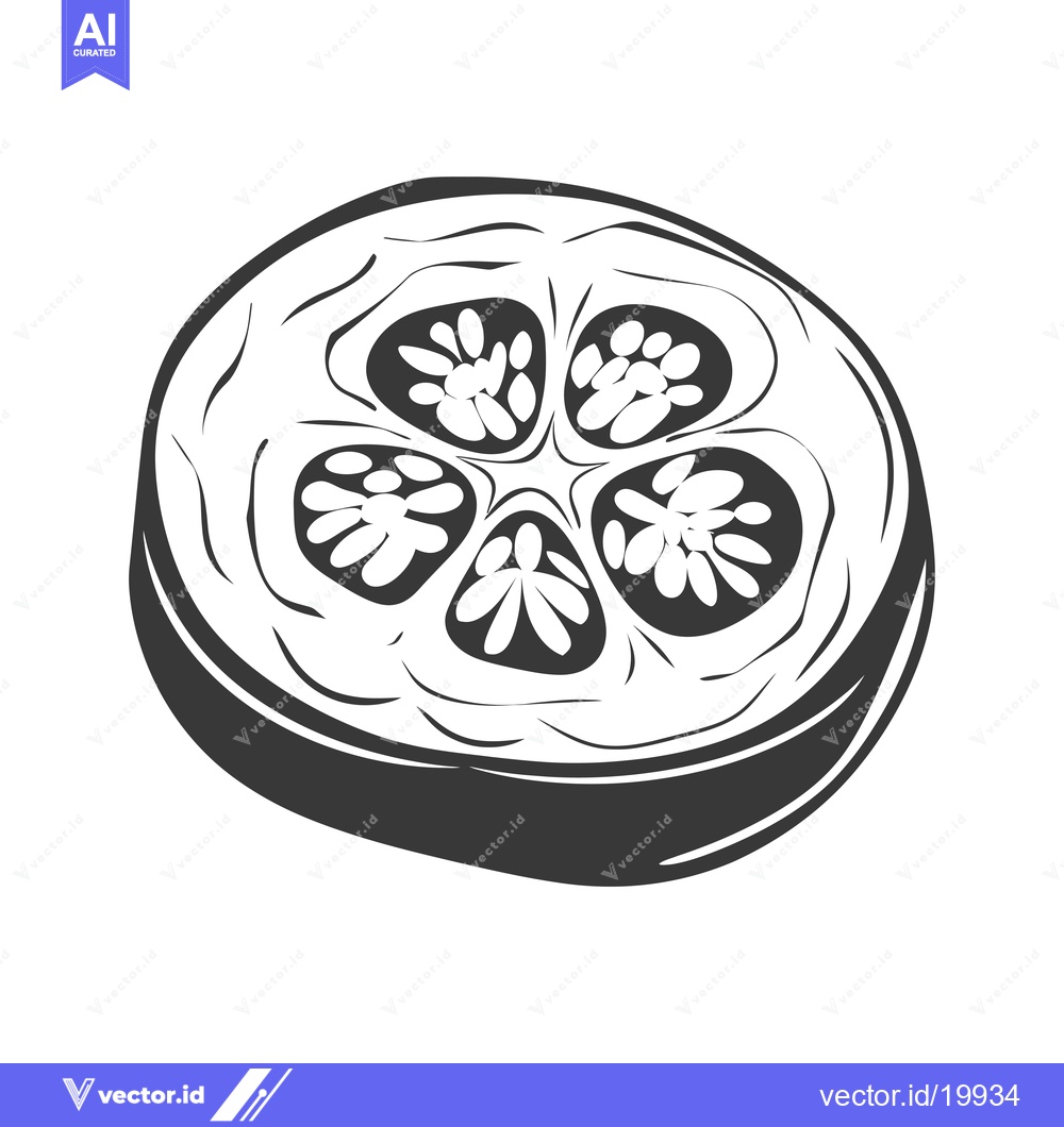 Premium Vector dari A Single Slice of a Round Fruit with Four Seeds