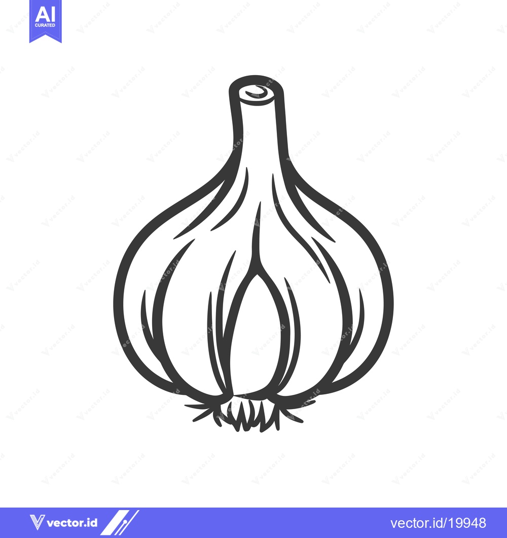 Premium Vector dari A Single Whole Garlic Bulb, Hand-Drawn in Black Outline