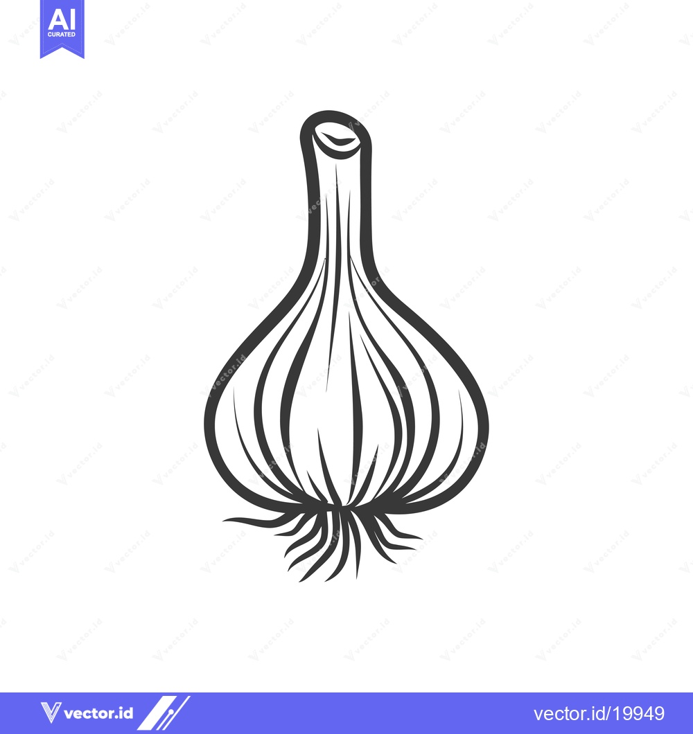 Premium Vector dari A Single Whole Garlic Bulb with Roots