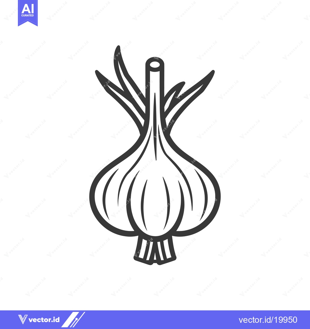 Premium Vector dari A Single, Whole Garlic Bulb With Roots and Stem