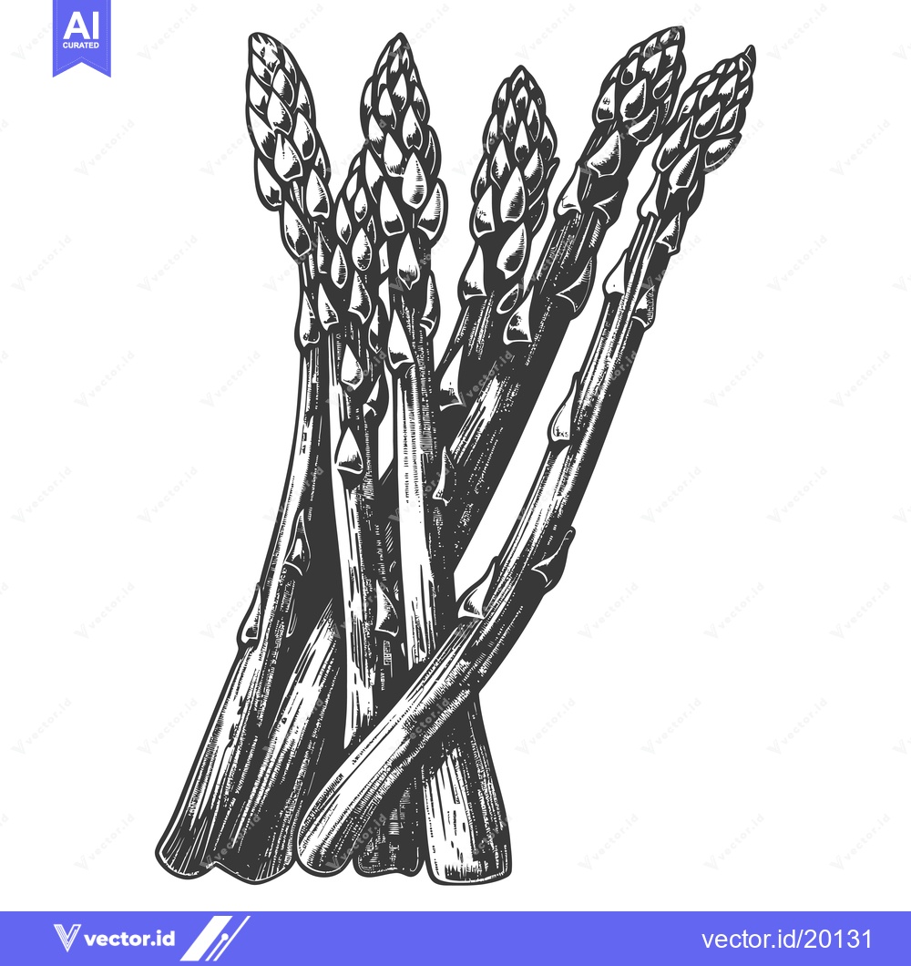 Premium Vector of An illustration of a bunch of asparagus