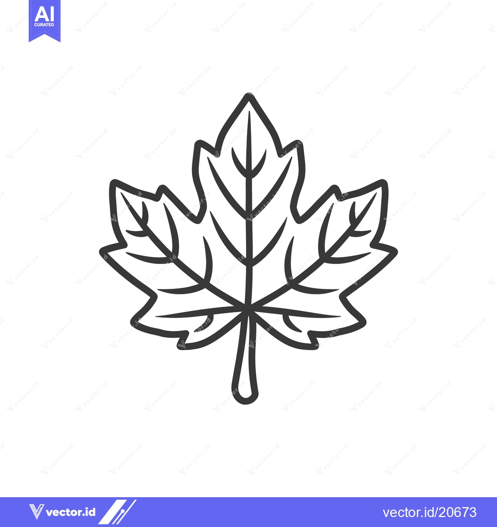 Premium Vector dari A detailed black and white illustration of a maple leaf