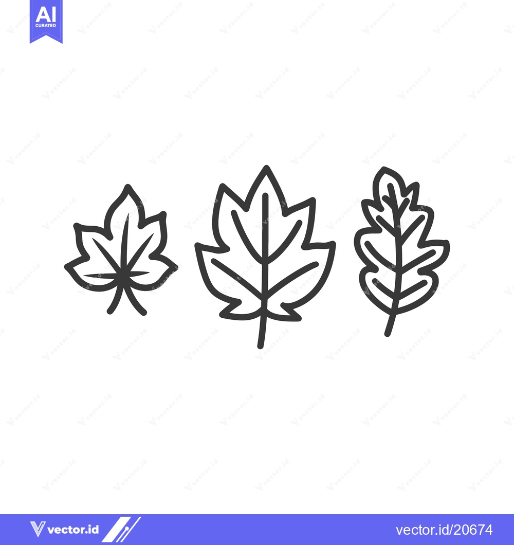 Premium Vector dari Three stylized outline drawings of different leafy forms displayed