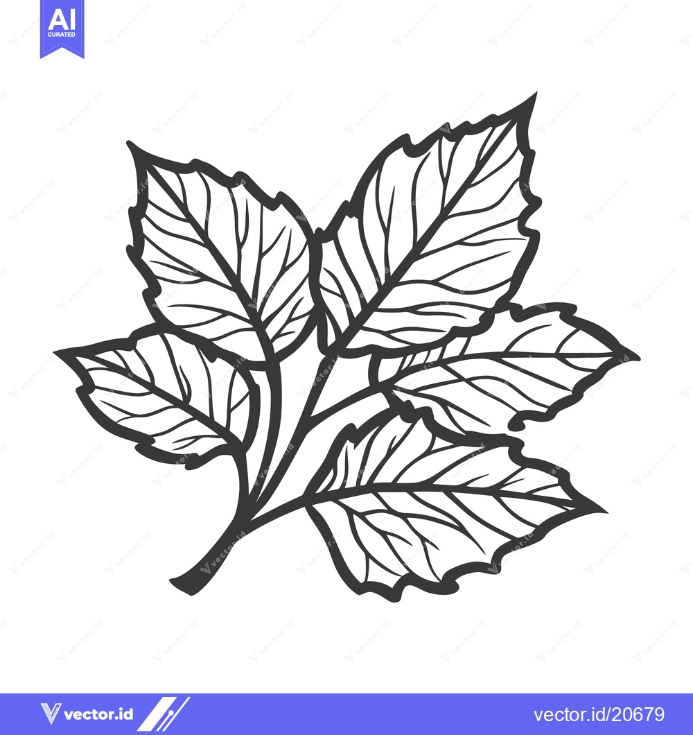 Premium Vector dari A detailed grayscale illustration of a cluster of stylized leaves