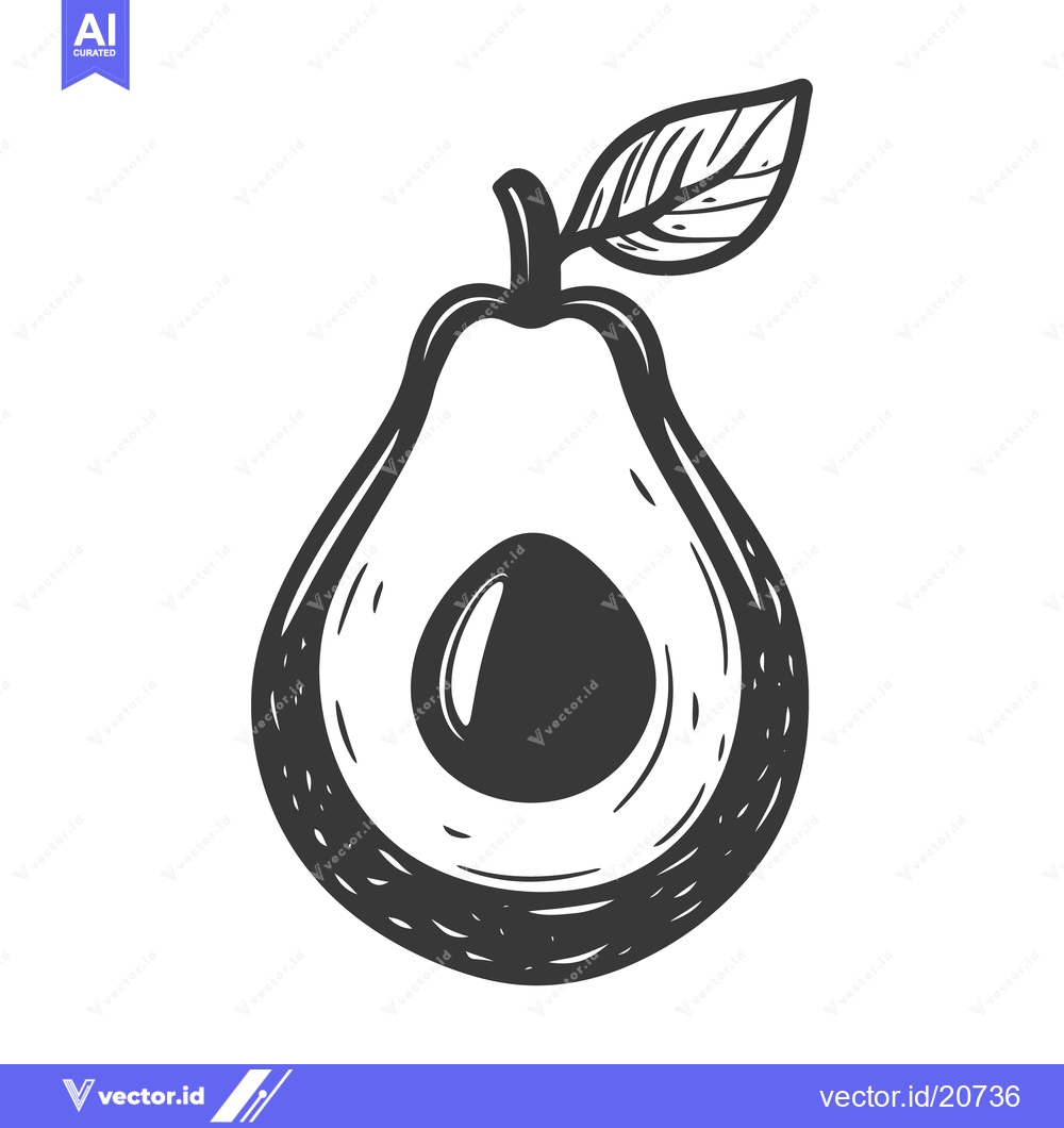 Premium Vector dari A black and white illustration of a sliced avocado fruit