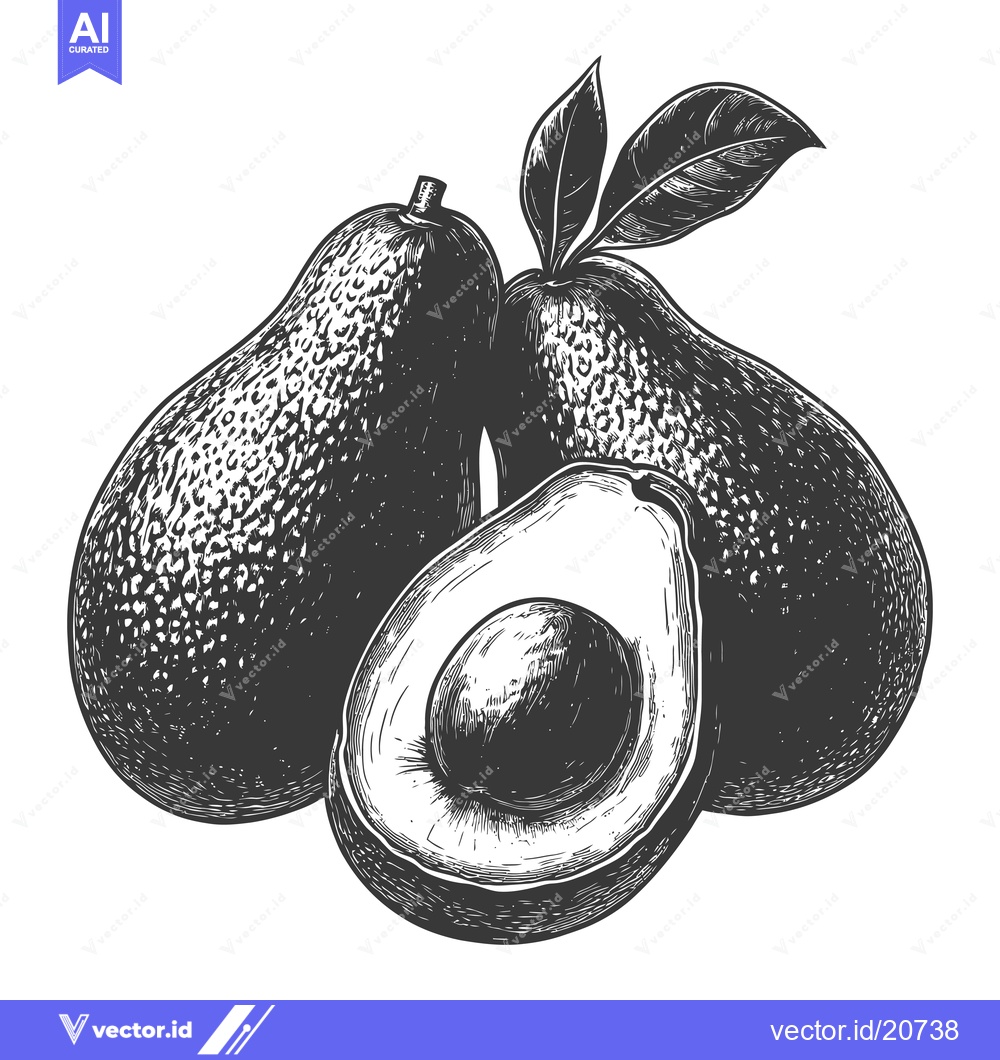 Premium Vector dari Fresh ripe avocados with a slice of avocado visible