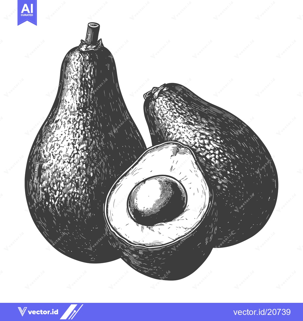 Premium Vector of A detailed illustration of ripe avocados with one cut open