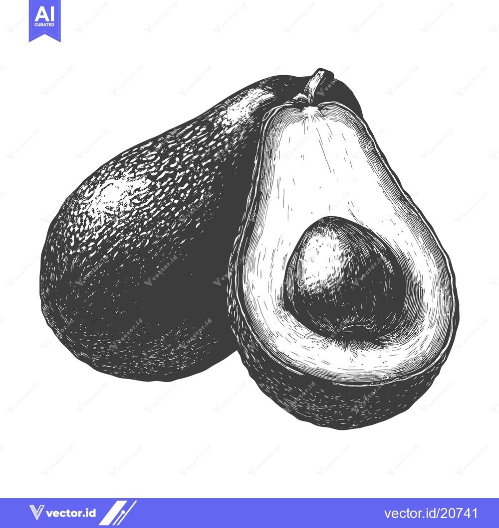Premium Vector dari Avocado in illustration style with half cut showing pit