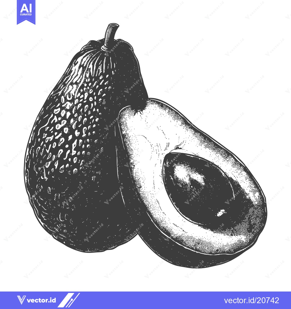 Premium Vector dari A single avocado and a halved one illustration on white background