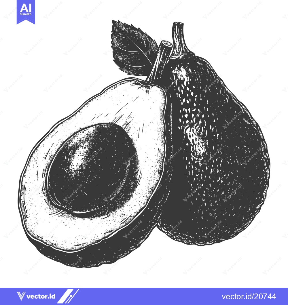 Premium Vector dari Two avocados and a leaf are shown in this image