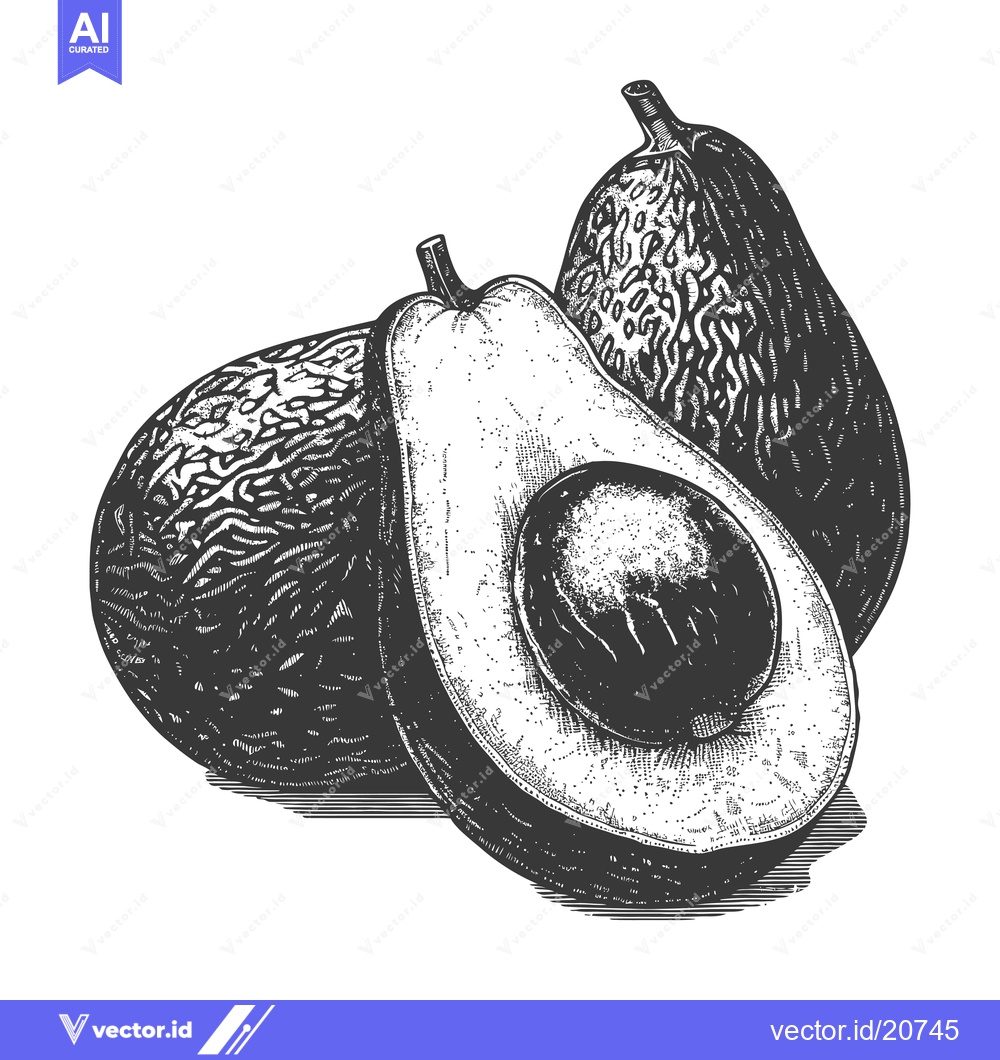 Premium Vector dari Three Avocados and One Cut Open with a Dark Seed