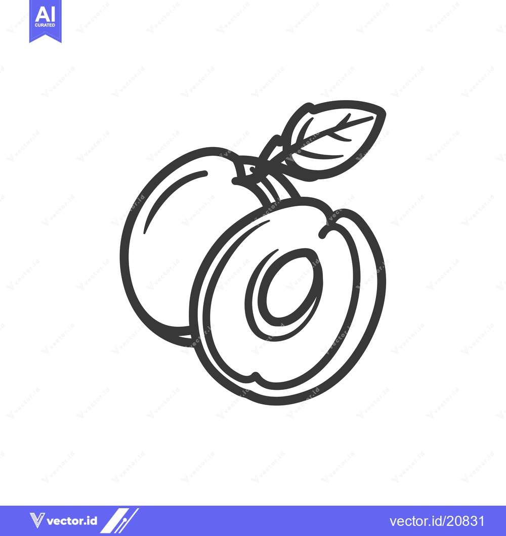 Premium Vector of A Whole and a Half Apricot with a Leaf