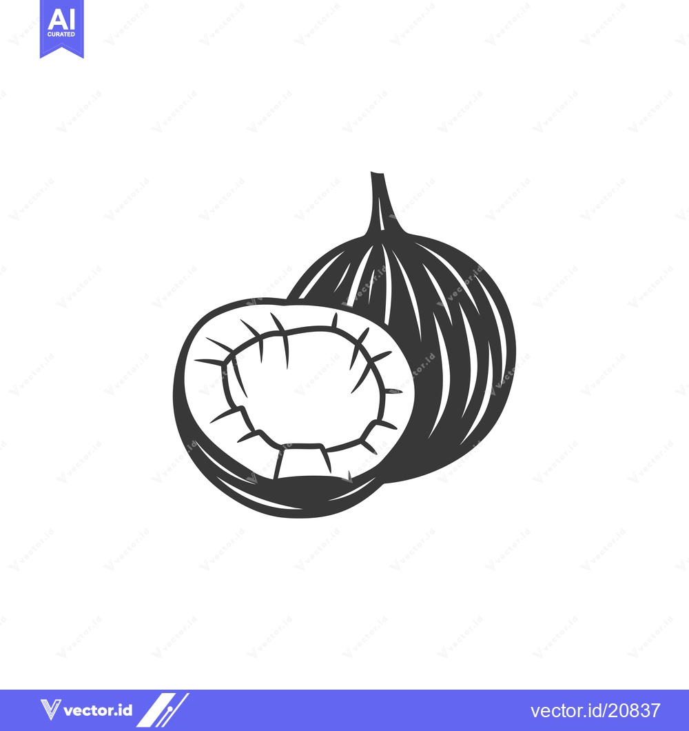 Premium Vector dari A Whole Coconut and a Half Coconut, Black and White Line Drawing
