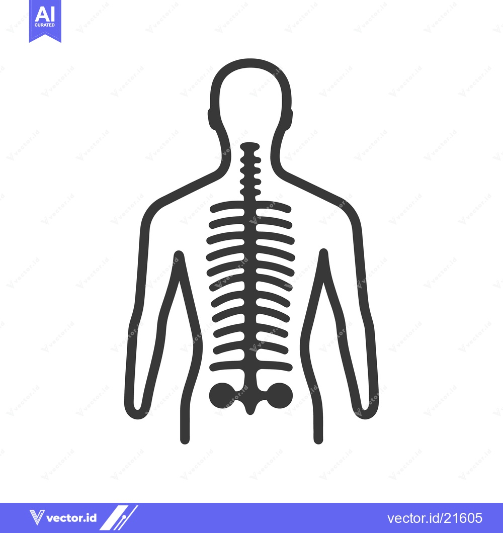 Premium Vector dari A black and white illustration of the human skeletal system